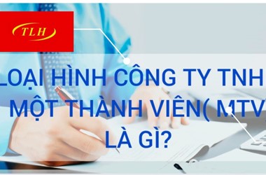 Loại hình Công ty TNHH một thành viên (MTV)